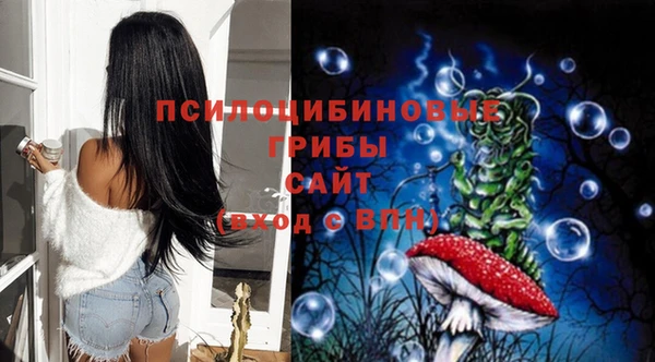 шишки Алексеевка