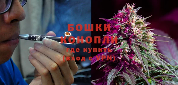 шишки Алексеевка
