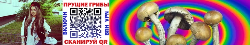 Псилоцибиновые грибы Magic Shrooms Кораблино